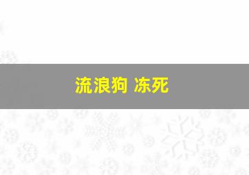 流浪狗 冻死